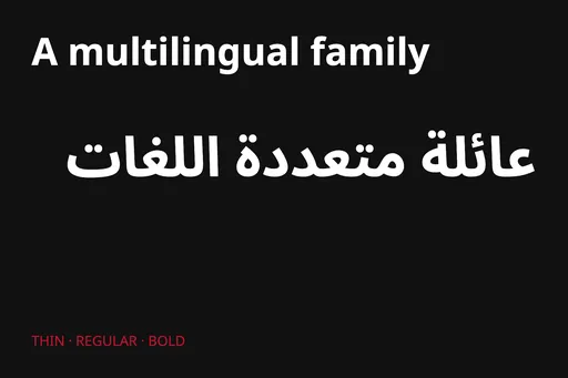 Noto Sans Arabic - Multilingual Family
